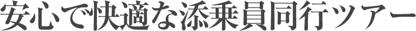 安心で快適な添乗員同行ツアー