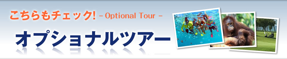 こちらもチェック！オプショナルツアー
