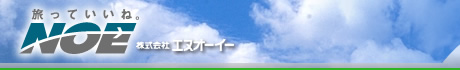 株式会社エヌオーイー