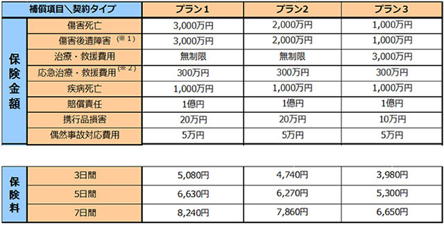 補償内容・保険料例<69歳以下>